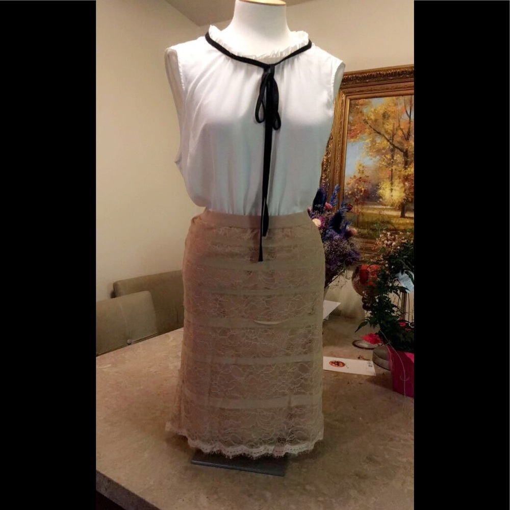 Beautiful nude skirt size Small